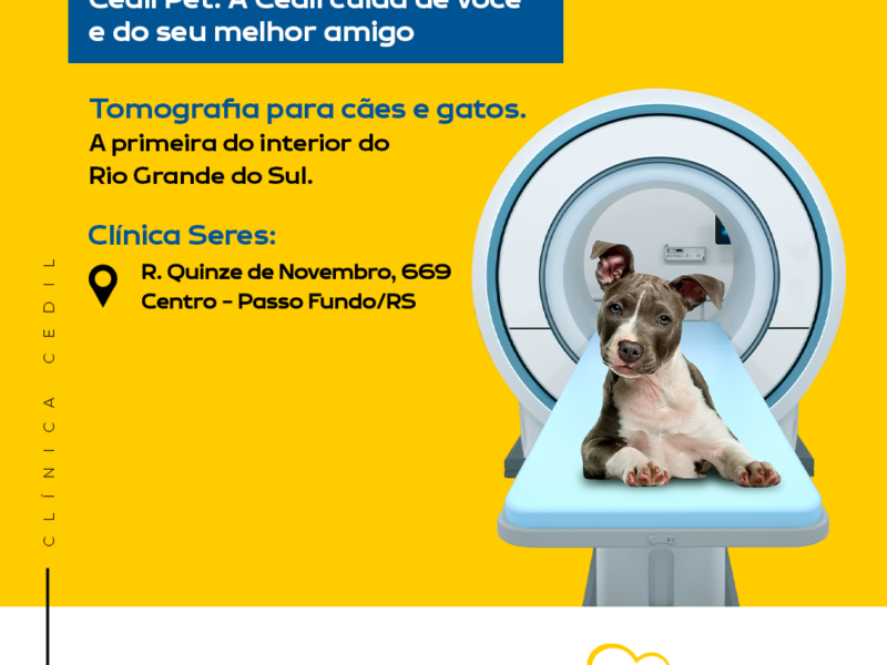 Cedil Pet Em Passo Fundo